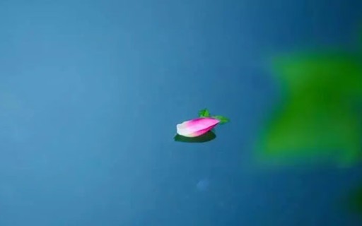 二婚女性八字特点解析