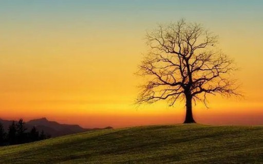 2025年2月生产吉日汇总 近期吉日生产查询指南